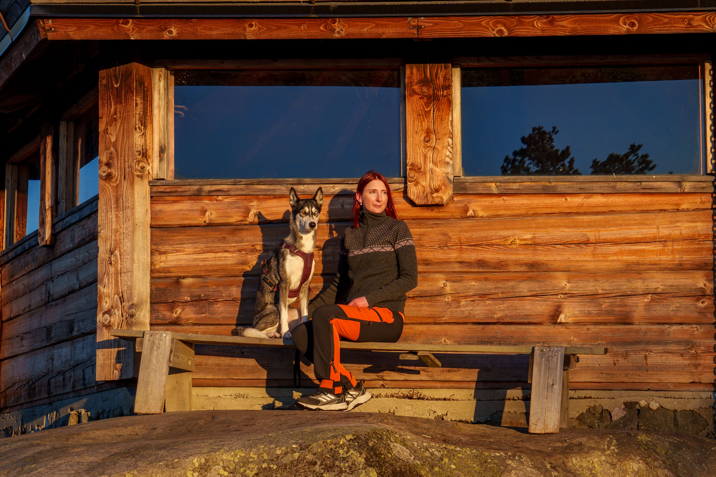 Dyretolk og hund sitter sammen på en krakk i solnedgang, med varme farger som symboliserer tillit, nærhet og dyretolkning