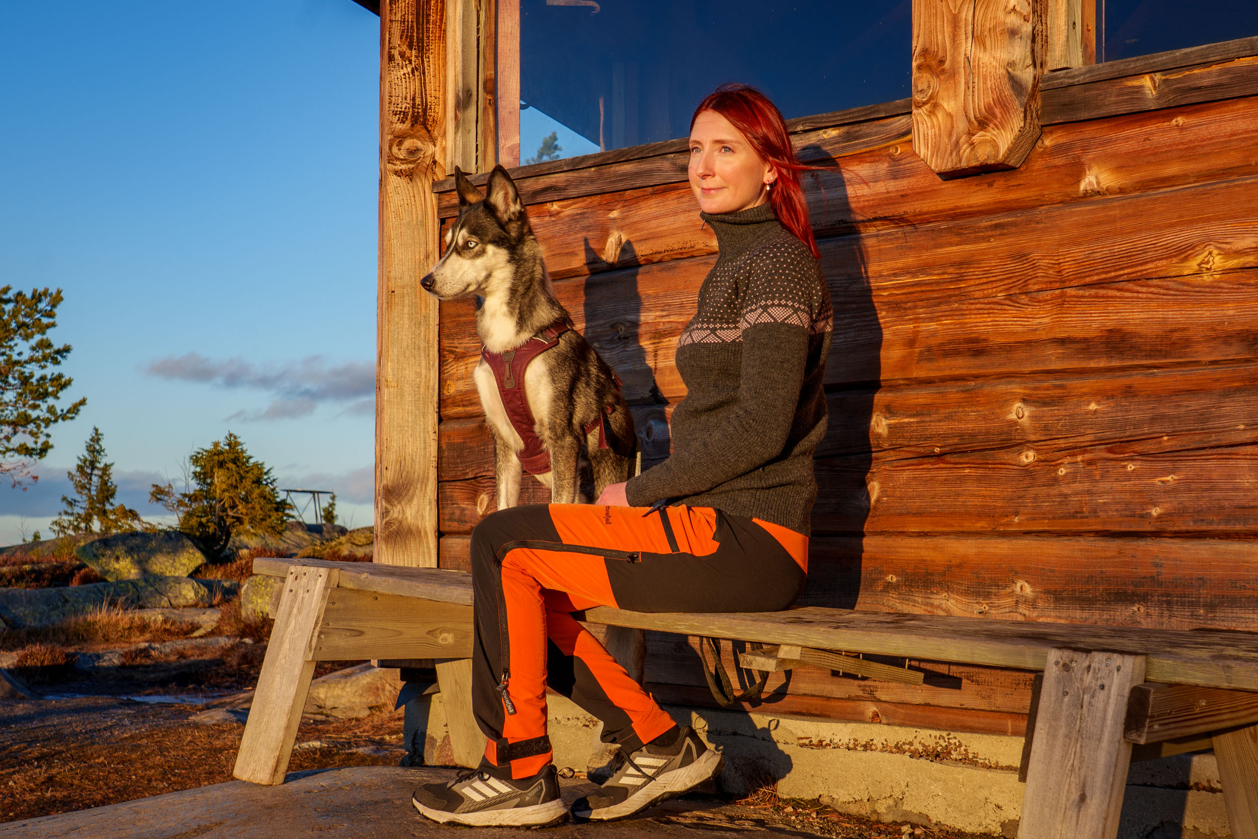 Dyretolk og hund sitter sammen på en krakk i solnedgang, med varme farger som symboliserer tillit, nærhet og dyretolkning