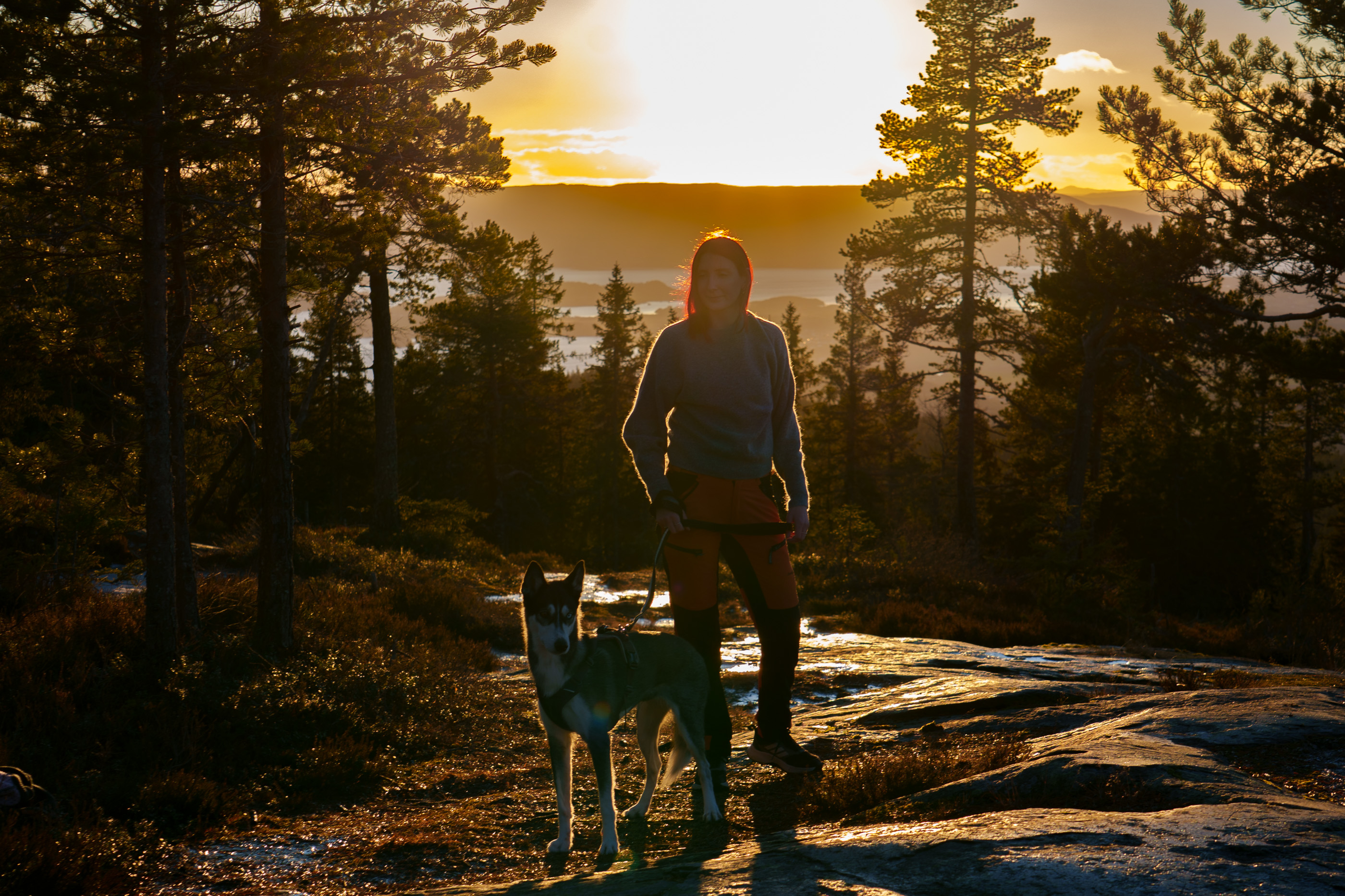 Haugen Sjel til Sjel