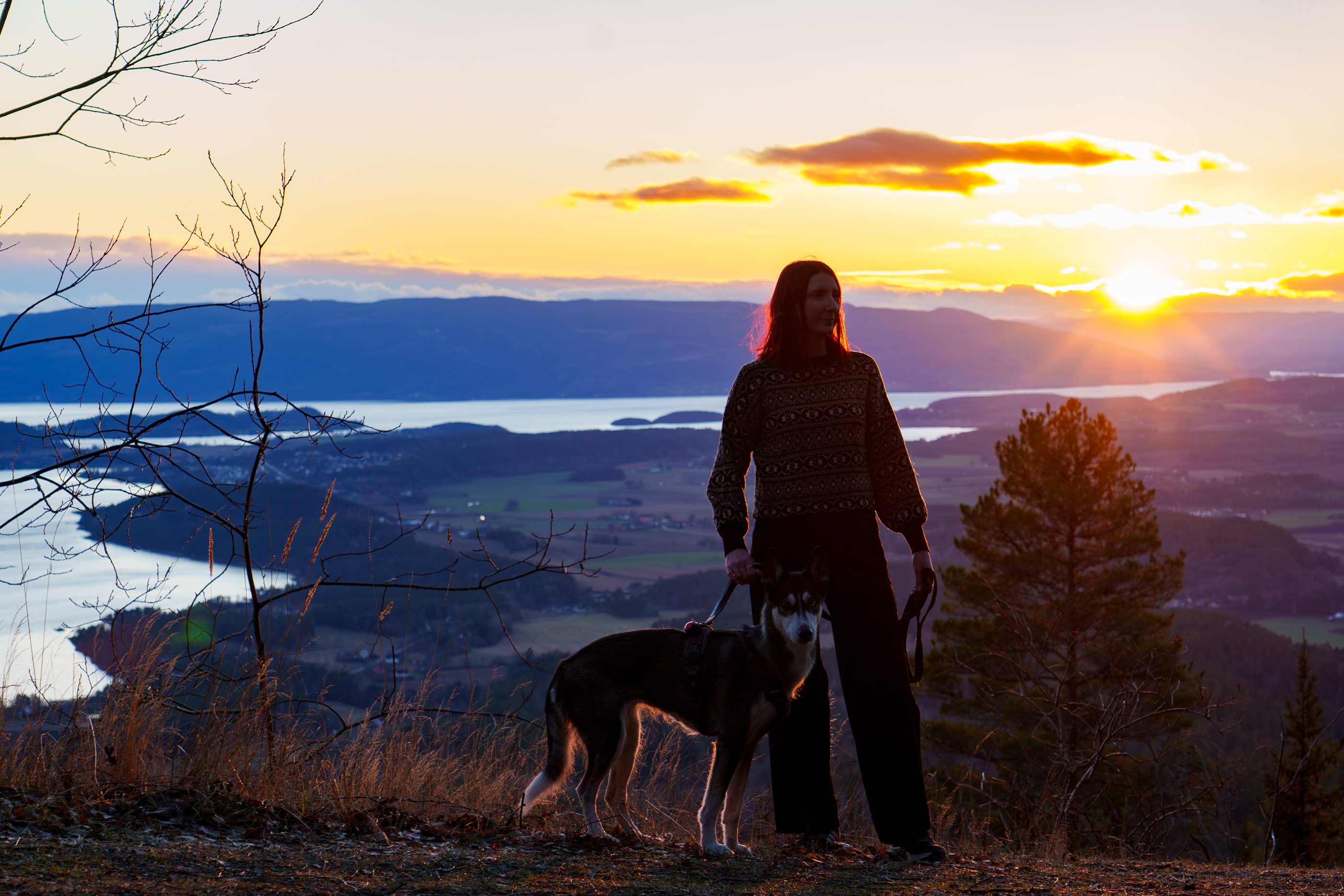 Dyretolk med hund foran en fin utsikt, som symboliserer dyretolkning og dypere kontakt mellom menneske og dyr.